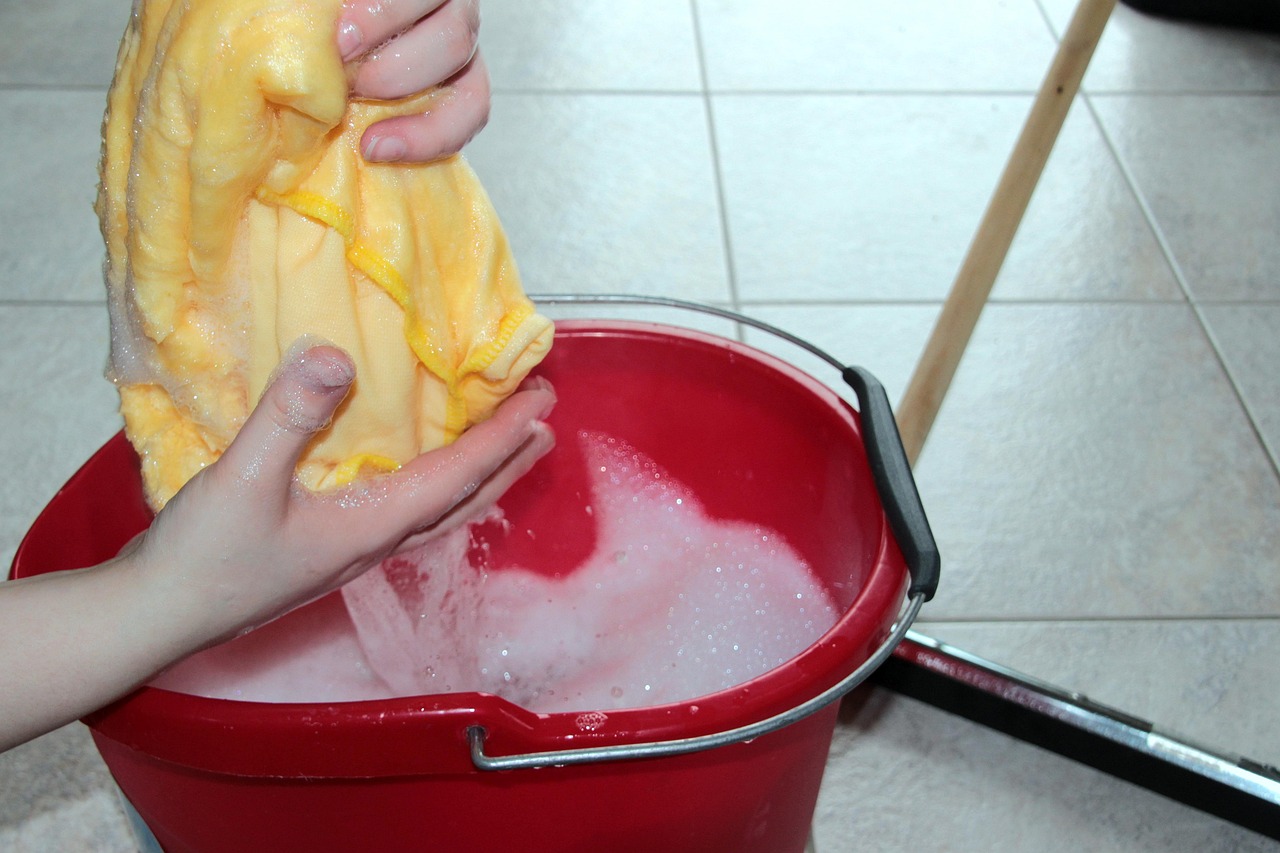 From Clean Living to Clean Spaces: The Birth of Lay Slays Cleaning Service