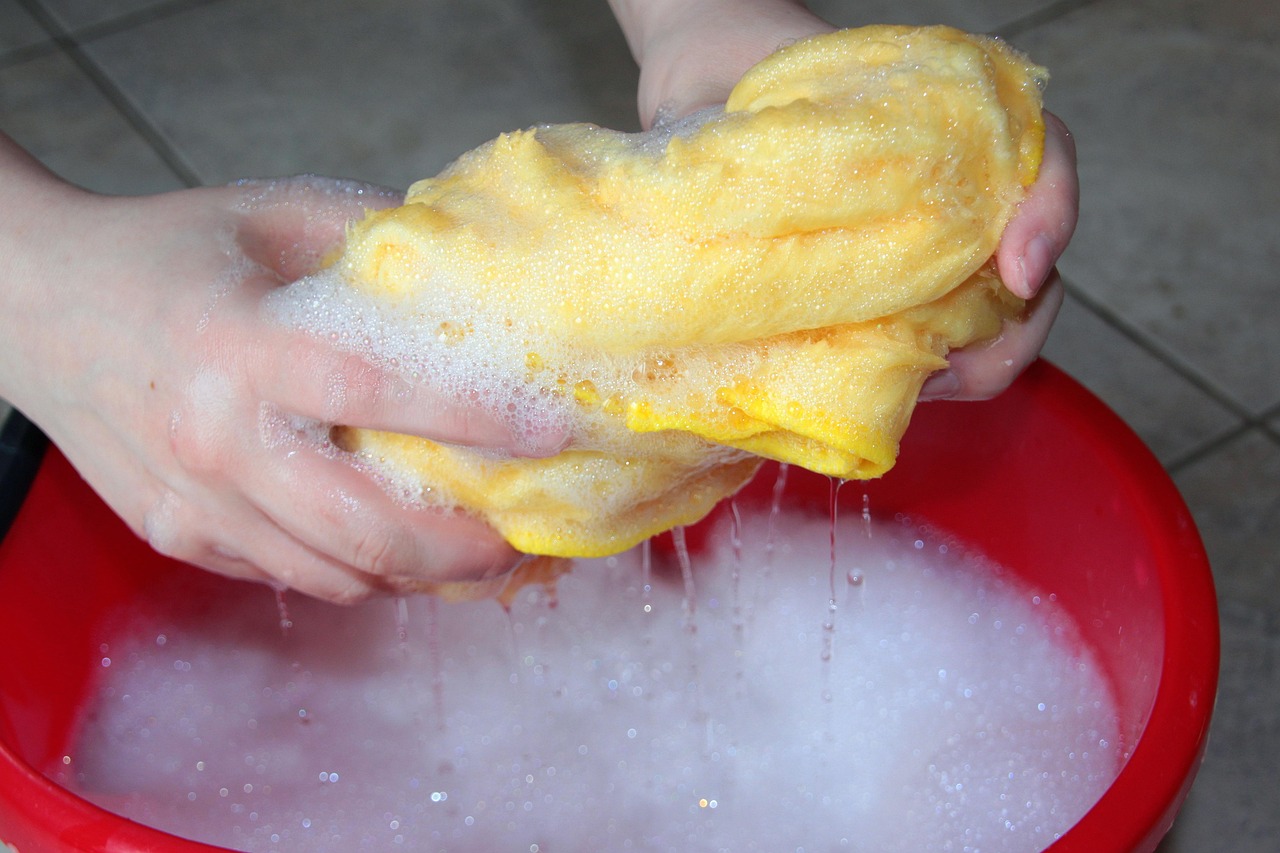 From Clean Living to Clean Spaces: The Birth of Lay Slays Cleaning Service